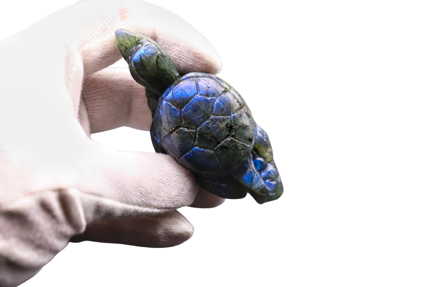 Schildkröte der Transformation: Labradorit #1