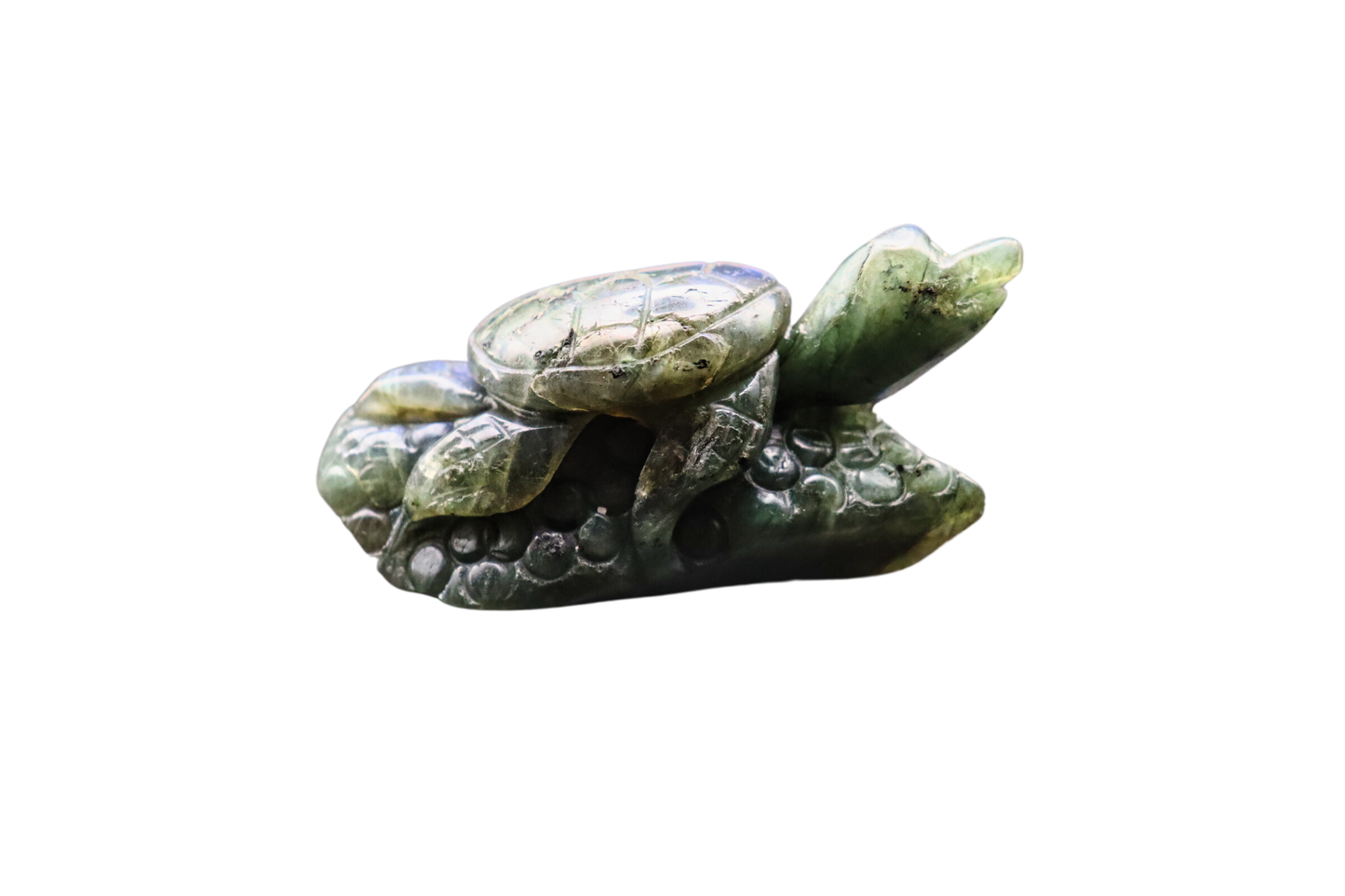 Schildkröte der Transformation: Labradorit #1