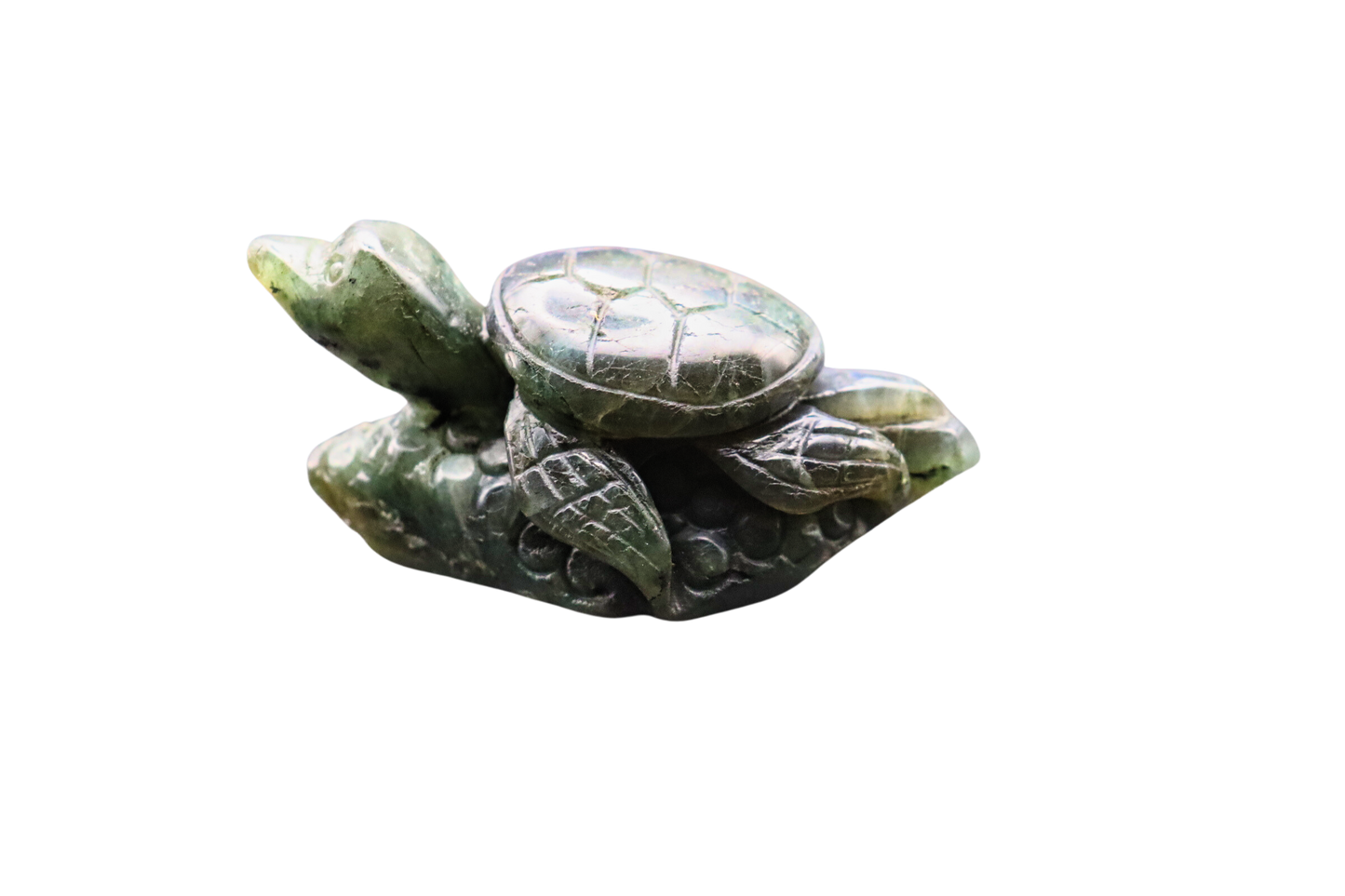 Schildkröte der Transformation: Labradorit #1
