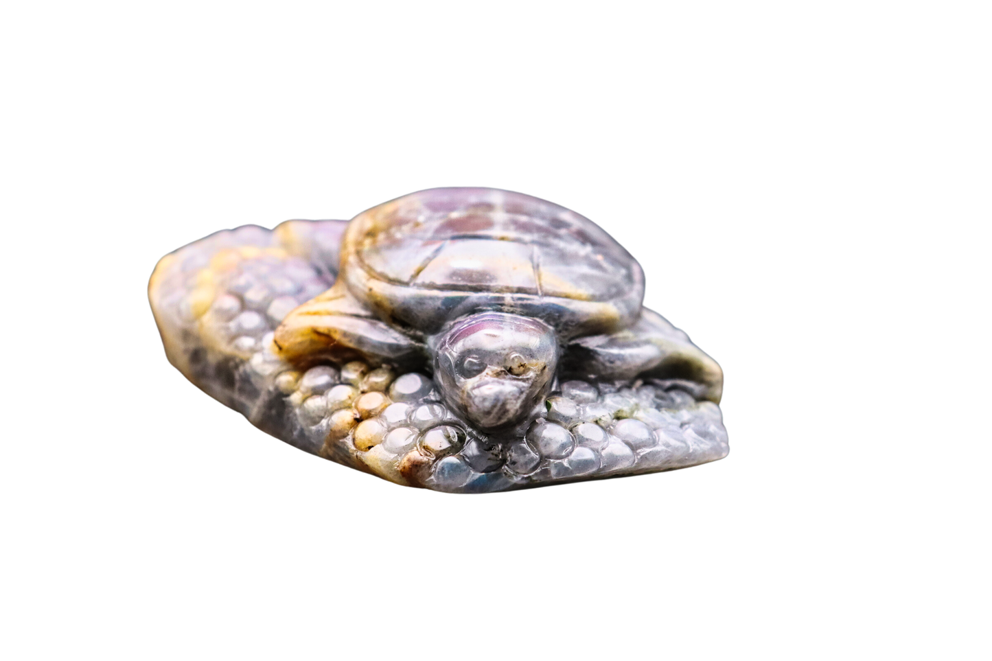 Schildkröte der Transformation: Labradorit #2