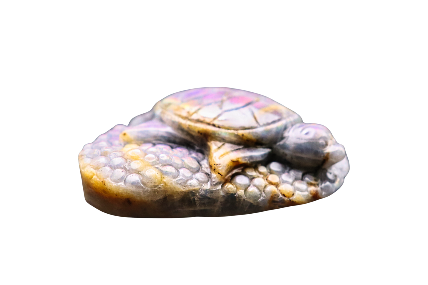 Schildkröte der Transformation: Labradorit #2