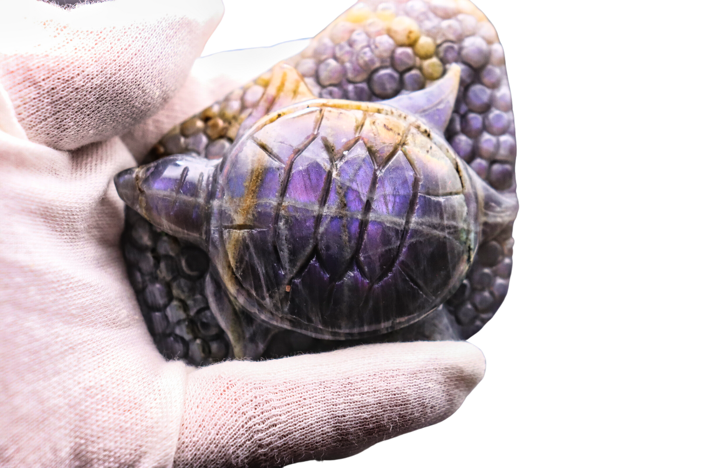 Schildkröte der Transformation: Labradorit #2