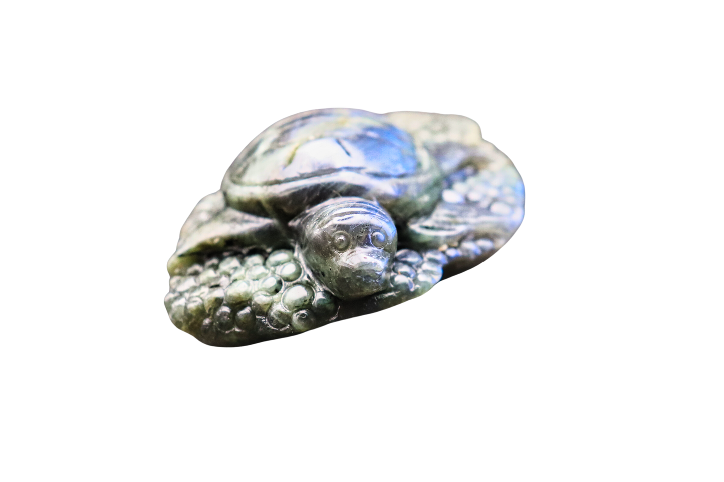 Schildkröte der Transformation: Labradorit #3
