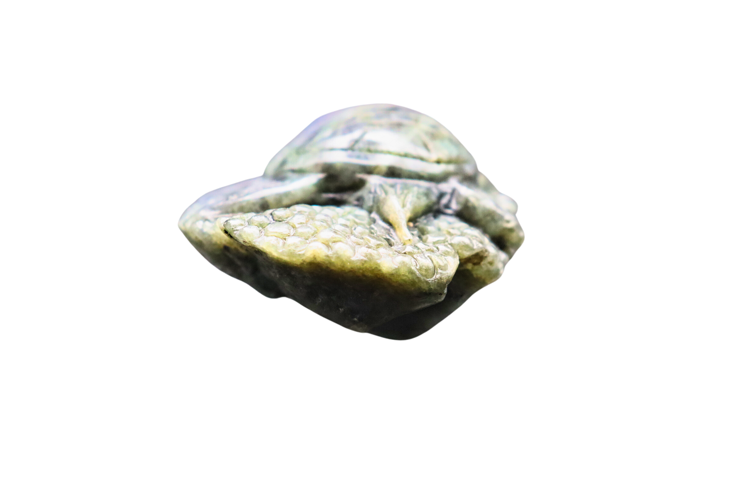 Schildkröte der Transformation: Labradorit #3