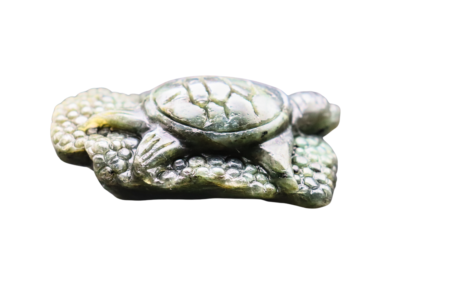 Schildkröte der Transformation: Labradorit #3