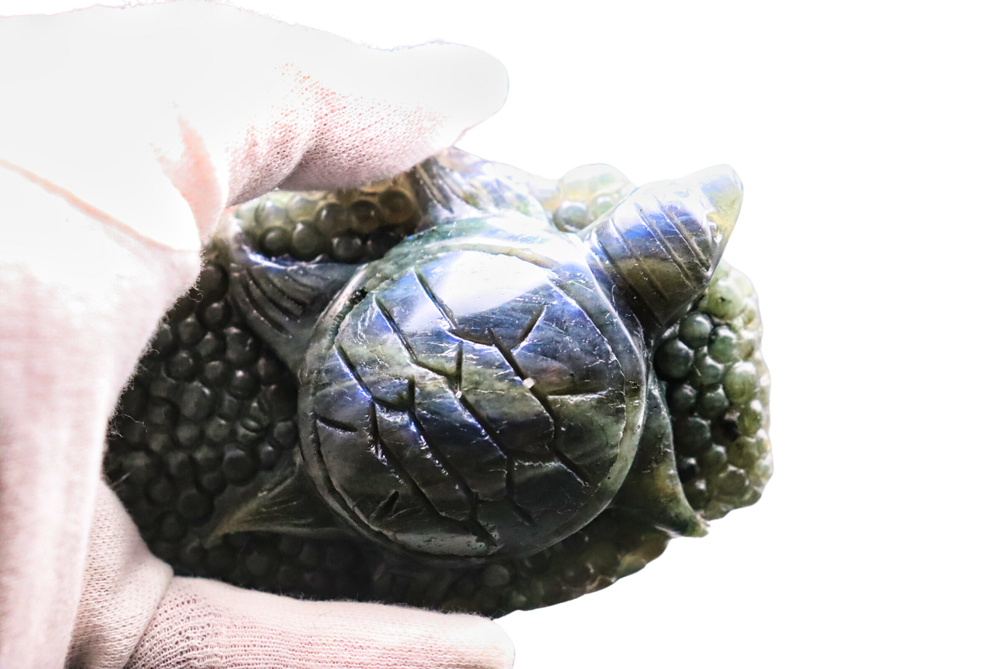 Schildkröte der Transformation: Labradorit #3