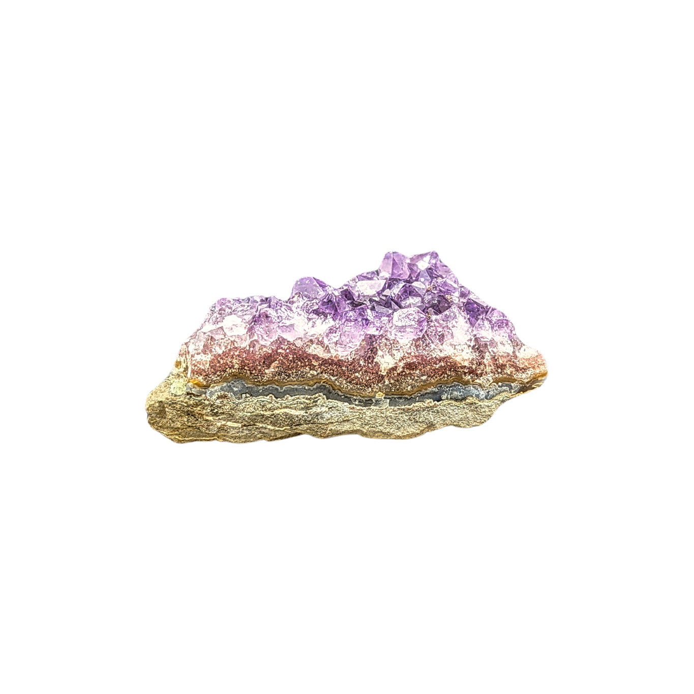 Cluster des Selbstvertrauen: Amethyst aus Uruguay #11