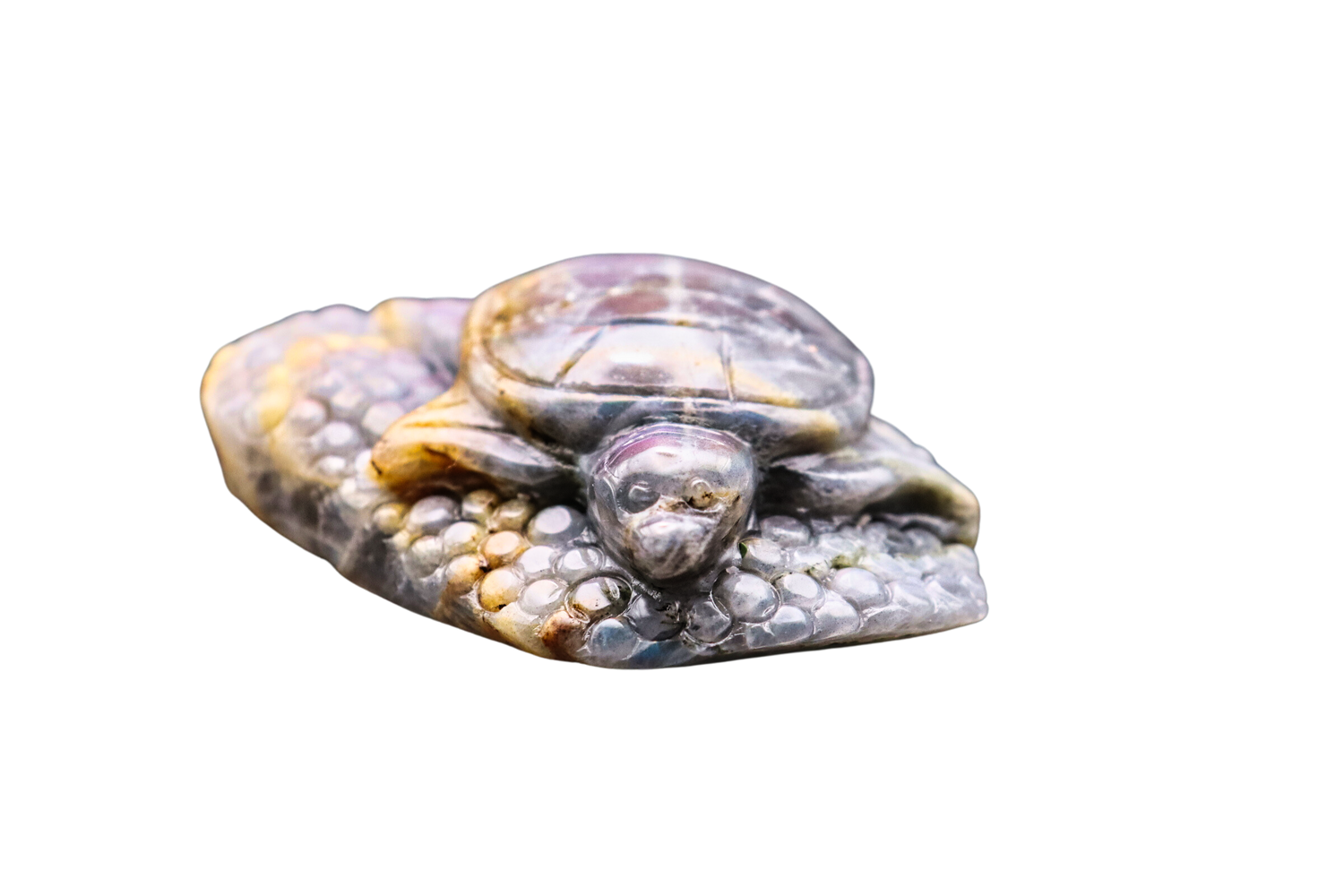 Schildkröten der Transformation: Labradorit